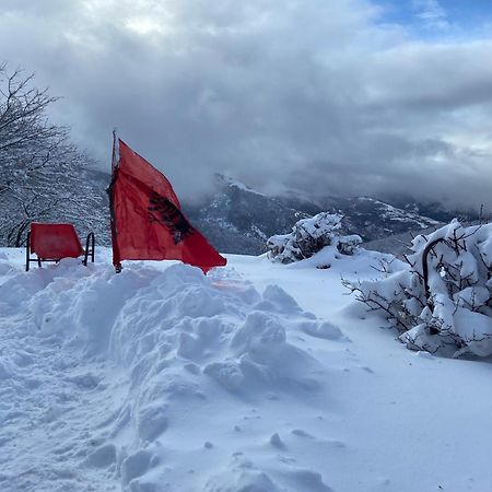 Отель Camping Shengjergj Тирана Экстерьер фото