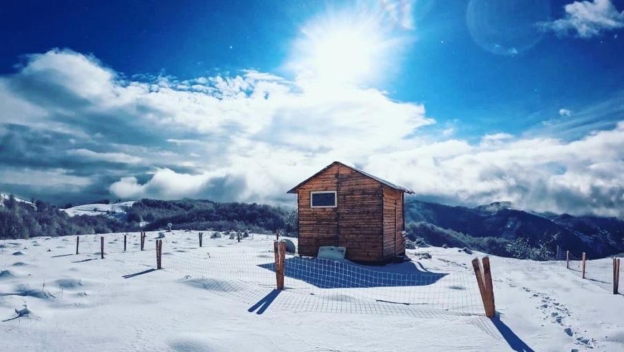 Отель Camping Shengjergj Тирана Экстерьер фото